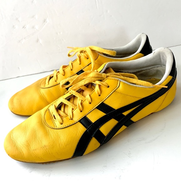 onitsuka tiger tai chi shoes